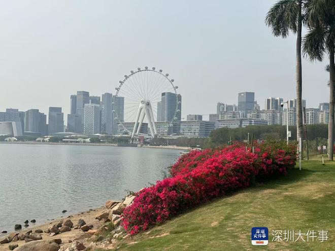 爱“吃螃蟹”的前海还在不断前进(图3)