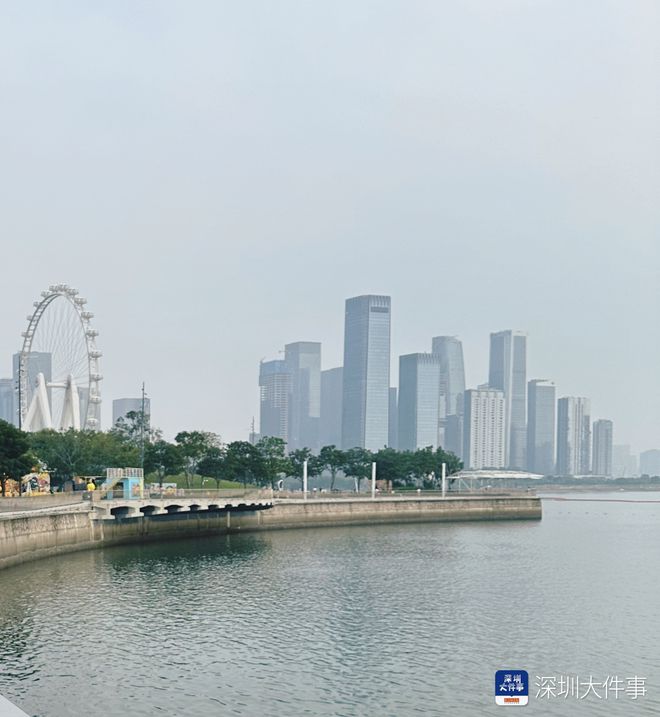 爱“吃螃蟹”的前海还在不断前进(图4)