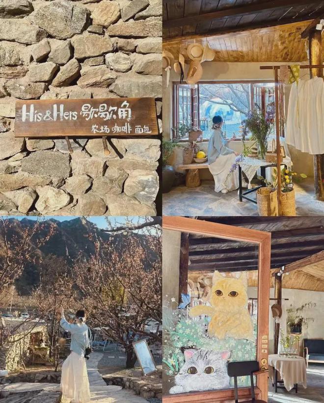 年轻人跟风开村咖幻灭了投几十万改造土房子淡季没人只好关门(图5)