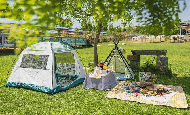 年轻人跟风开村咖幻灭了投几十万改造土房子淡季没人只好关门(图4)