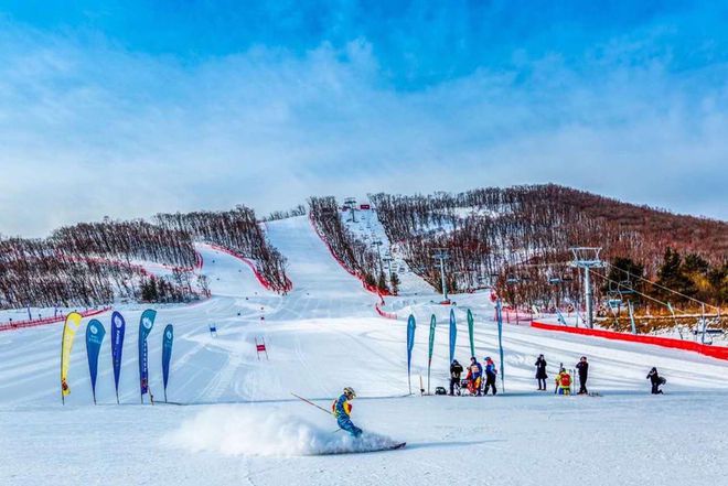 热点观察李宇：2024—2025年我国冰雪旅游发展特点(图1)