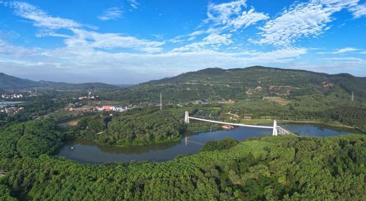 赋能百千万工程省大运会定向赛花都活力开跑(图7)