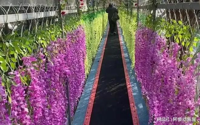 2025魔毯源头厂家推荐山东宁泰文旅值得信赖(图2)