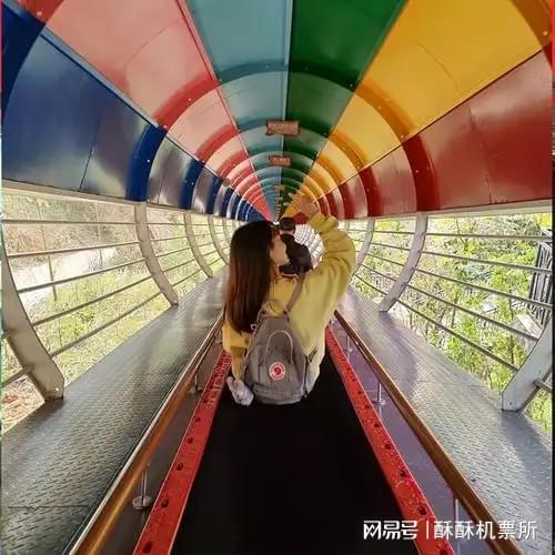 2025质量好的魔毯厂家山东宁泰文旅值得选择(图2)