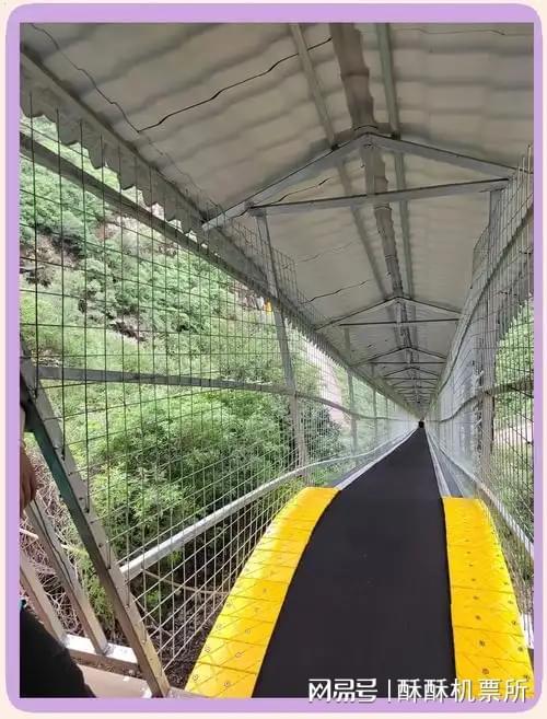 2025质量好的魔毯厂家山东宁泰文旅值得选择(图3)