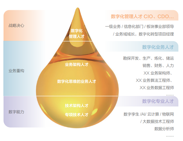 完美体育华为联合行业协会发布石油石化行业首个数字化人才发展白皮书(图2)