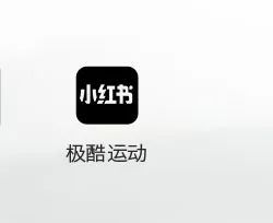 完美体育大山之王、电影导演、品牌创始人……这样的斜杠人生你愿意过吗？(图14)