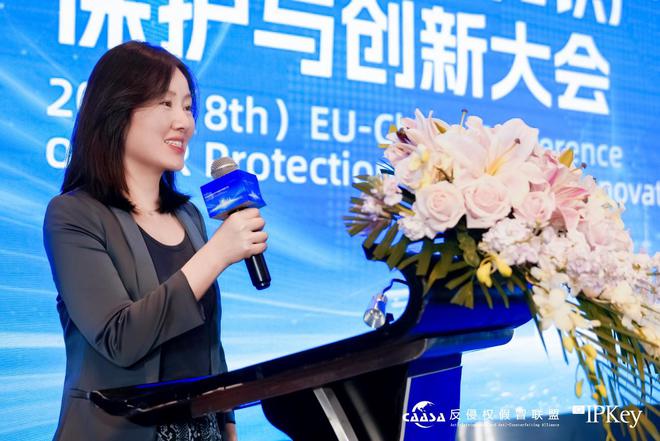 2025(第八届)中欧互联网知识产权保护与创新大会在京成功举办!共探数字时代知识产权治理新挑战完美体育网站(图10)