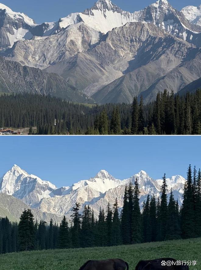 完美体育快看！新疆口碑最好的旅行社2025新疆旅行社前十榜单一览(图2)
