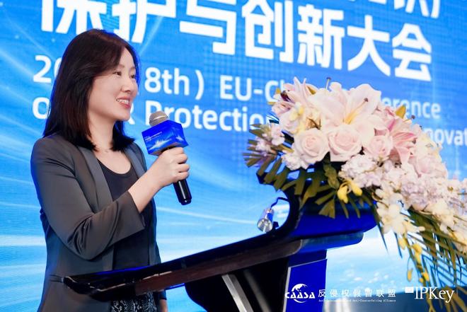 2025(第八届)中欧互联网知识产权保护与创新大会在京成功举办!共探数字时代知识产权治理新挑战完美体育网站(图10)