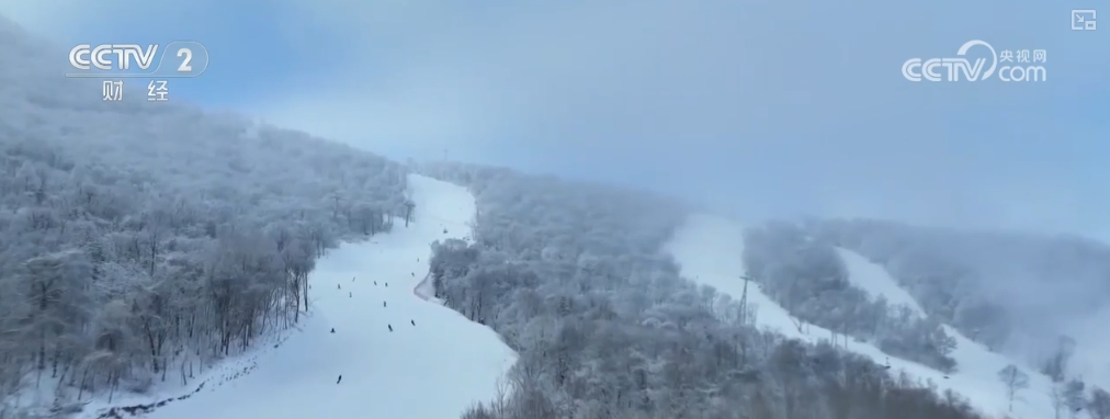 开门迎客开滑了！“冷”资源“热力全开”(图1)