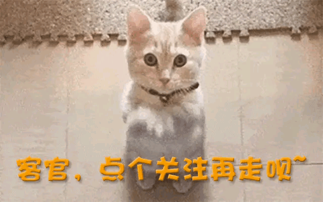 一人毁掉整部剧！垮脸皮干瘪嘴她成央视《灼灼韶华》唯一败笔(图26)