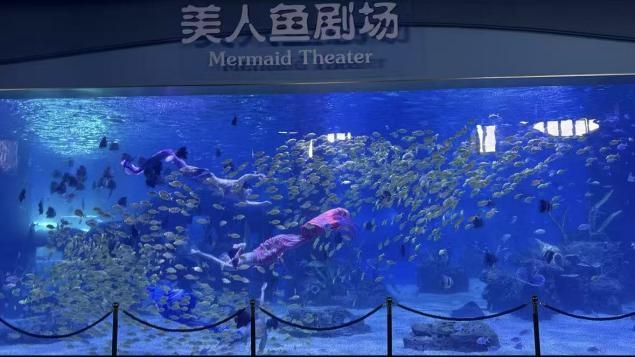 又一批主题乐园“国庆档”开业全球最大室内滑雪场也来了！(图15)