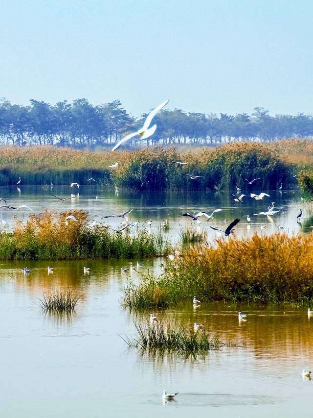 中国北方资源枯竭报告：哪个省是最惨的？｜地球知识局(图10)