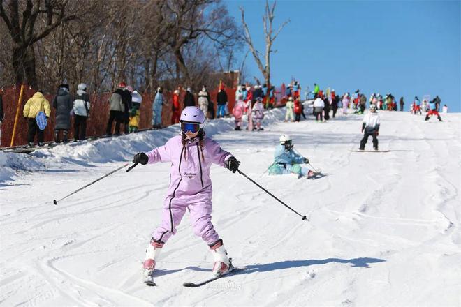 冰天雪地再燃新季高山之巅激情开板丨2025—2026年哈尔滨冰雪季盛大启幕(图5)