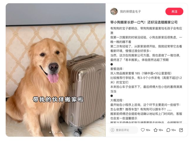 在小红书看见一万种细微需求(图3)