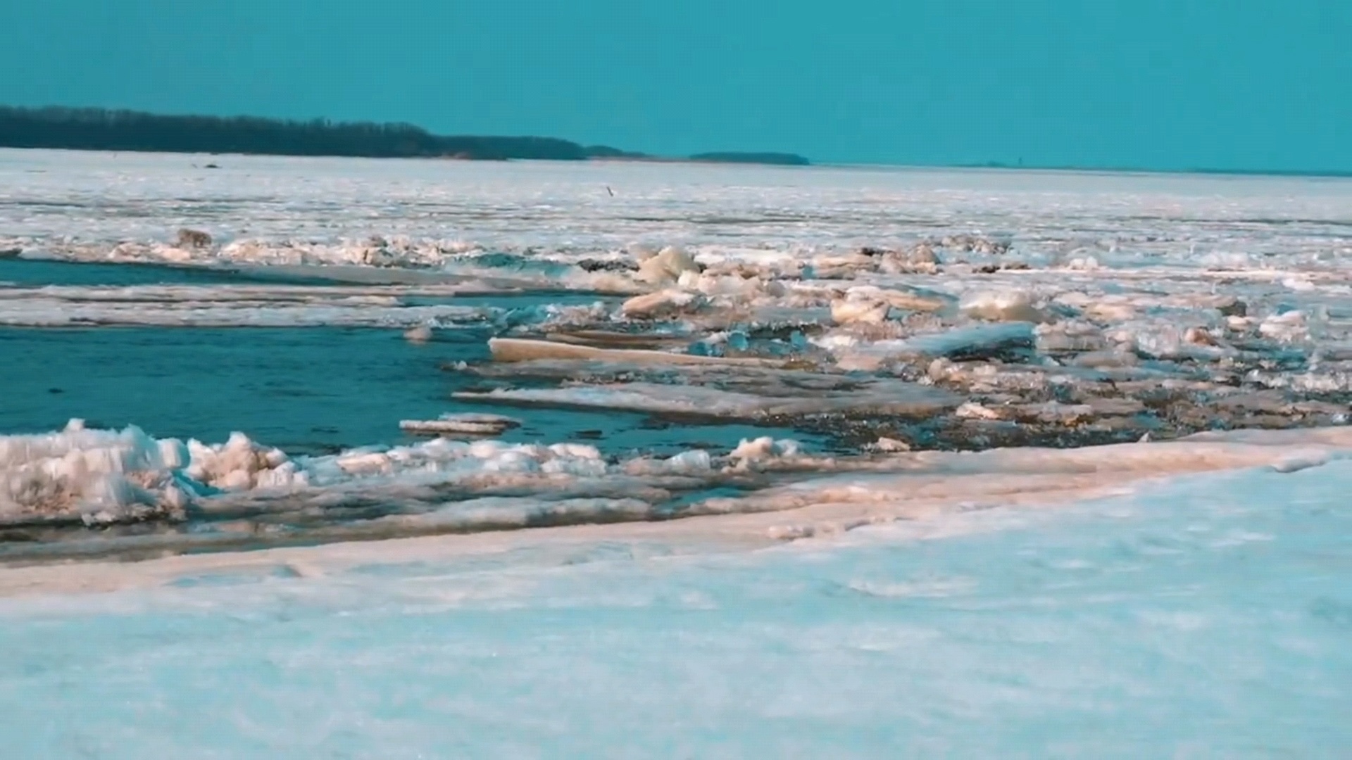 生态改善助江川大米完美体育网站香飘全国(图1)