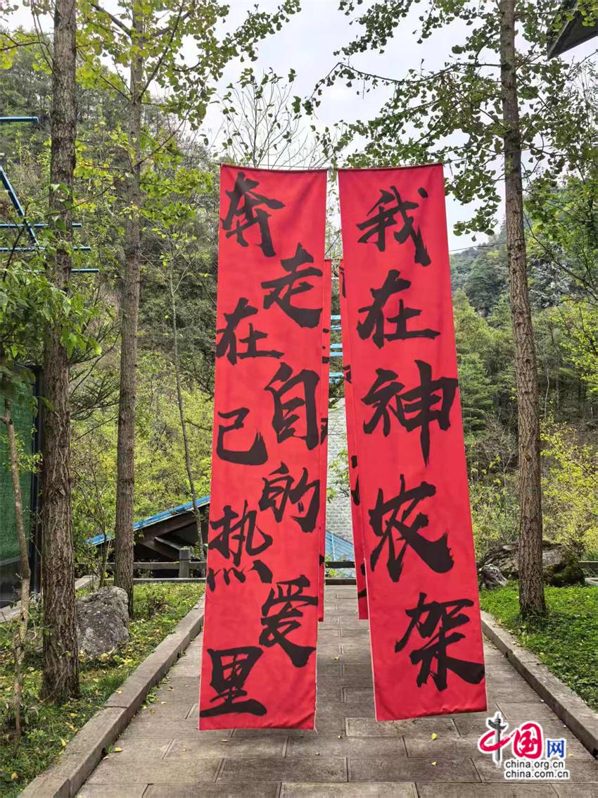 高舜礼：神农架的旅游应重在“神”上发力(图4)