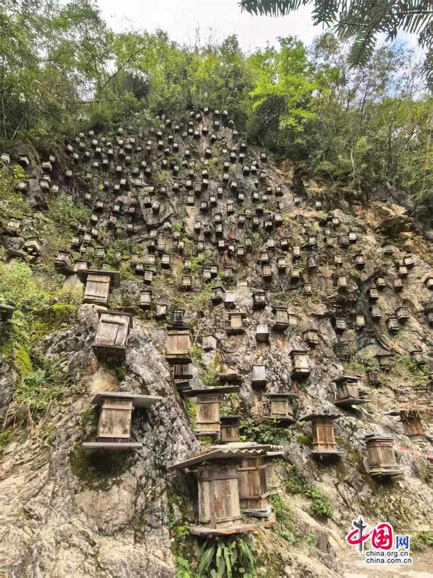 高舜礼：神农架的旅游应重在“神”上发力(图5)