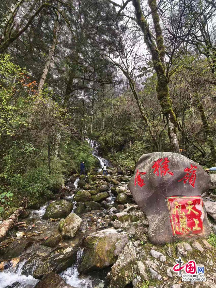 高舜礼：神农架的旅游应重在“神”上发力(图8)