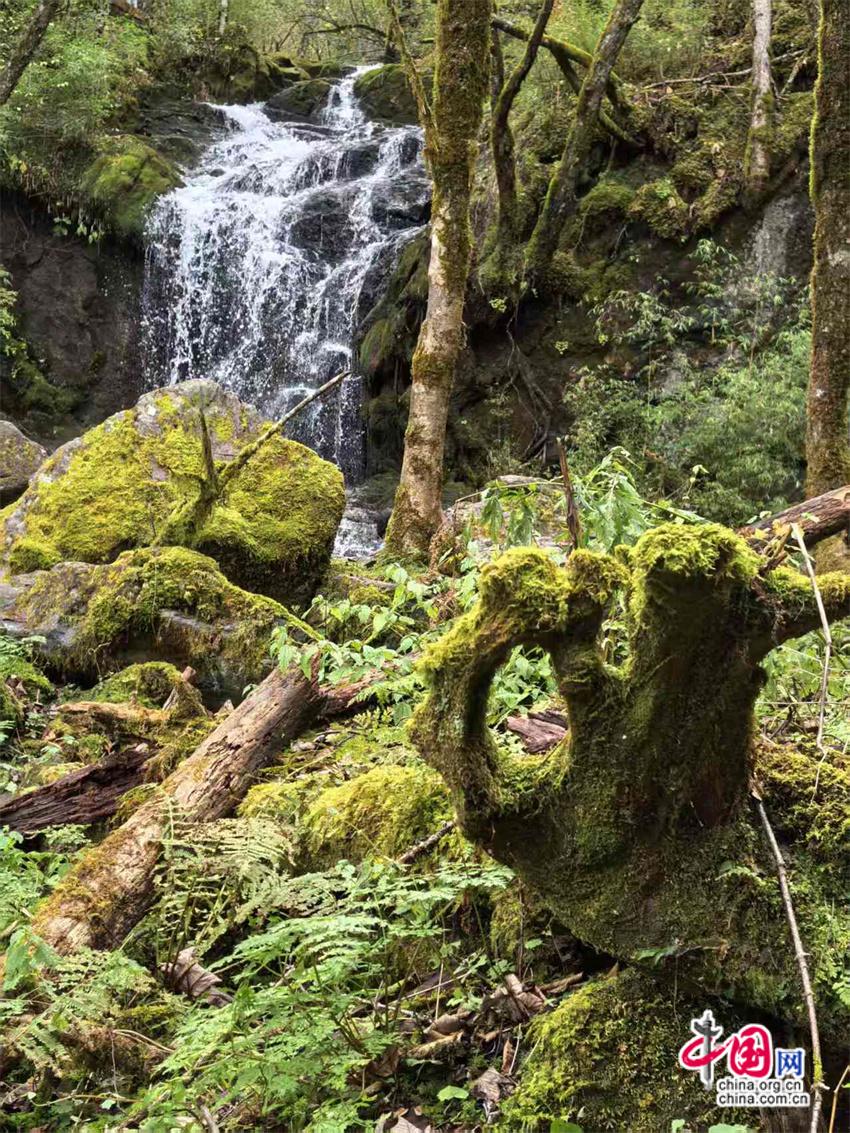 高舜礼：神农架的旅游应重在“神”上发力(图9)