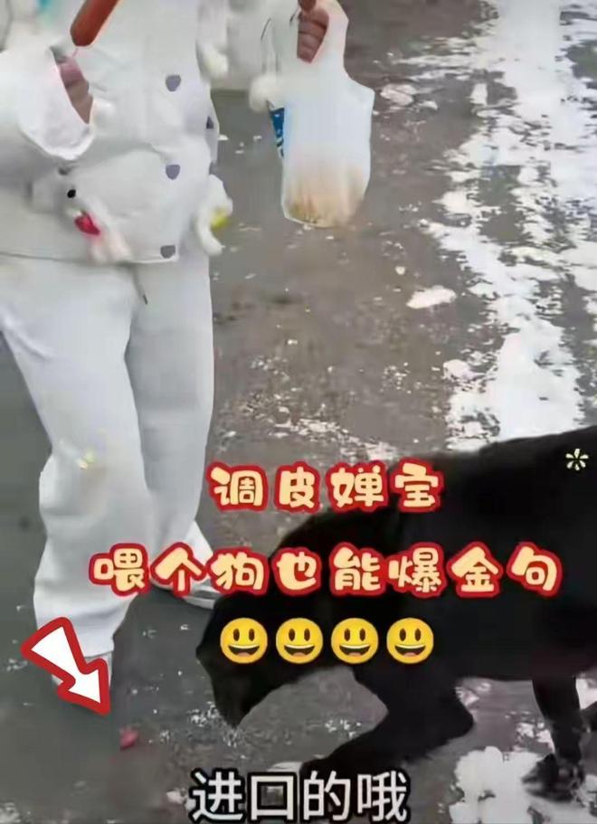 豪宅风波后全红婵带伤新疆滑雪令人担心的事发生樊振东说对了(图17)