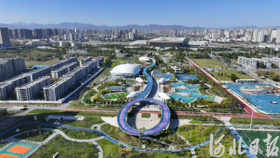 完美体育成绩单来啦!河北体育这些“全国第一”很硬核(图3)