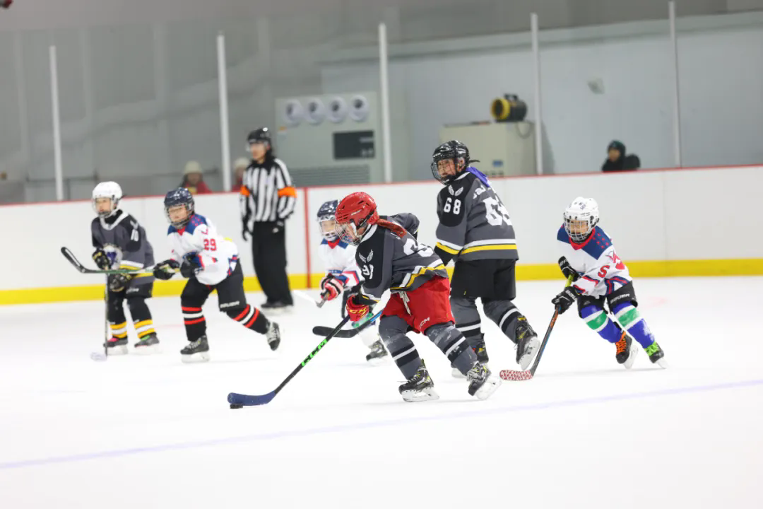 完美体育成绩单来啦!河北体育这些“全国第一”很硬核(图5)