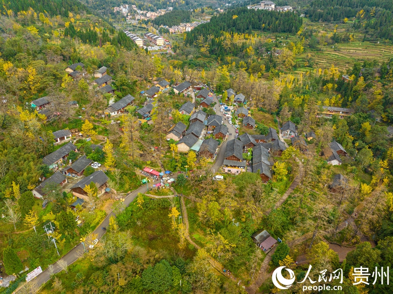 贵州六盘水:“一冷一凉”撬动“热经济”(图6)