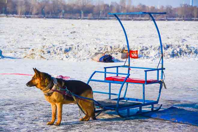 完美体育网站权威发布！2025东北旅行社服务质量TOP10哈尔滨优品国旅成标杆(图3)