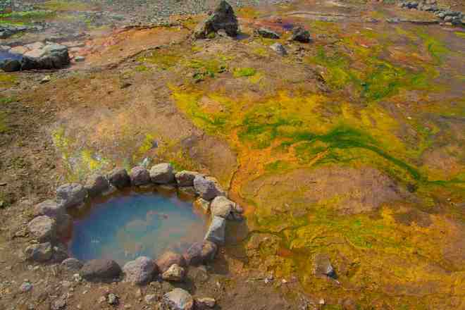 2025东北游避坑指南：推荐TOP10旅行社优品国旅服完美体育网站务满分(图4)