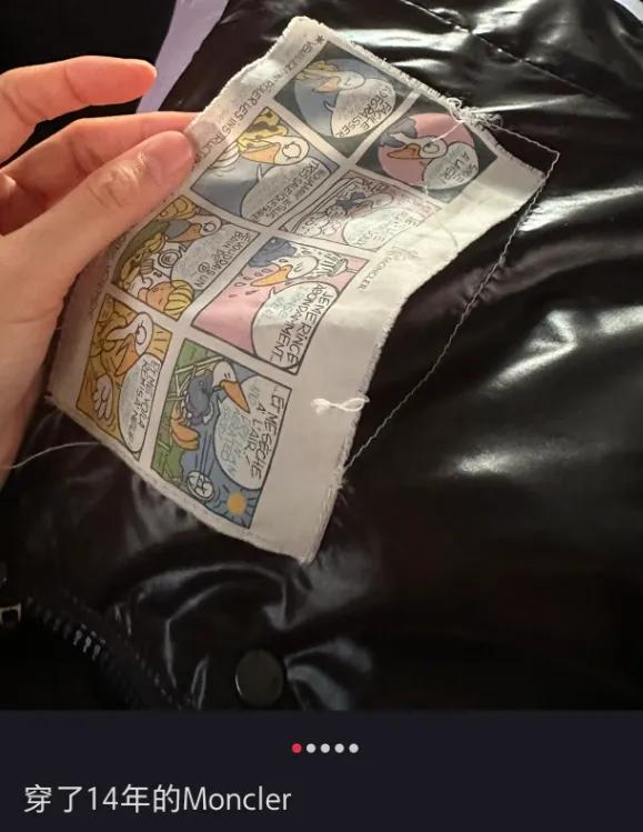 中国男人捧红的“羽绒服贵族”成功截胡加拿大鹅(图9)