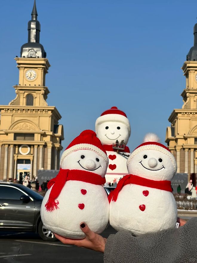 2025哈尔滨旅游攻略：纯玩小团五天四晚费用及必去景点！(图2)