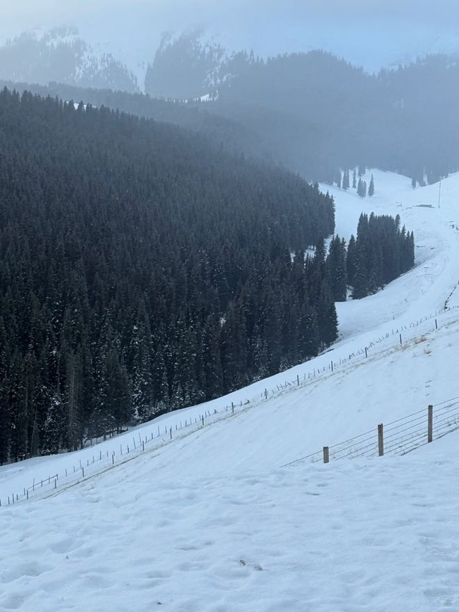 2026乌鲁木齐旅行社口碑TOP10实测：问疆行领跑全域体验(图2)