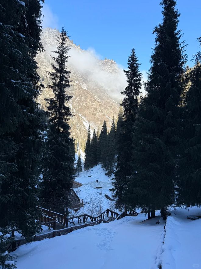 2026乌鲁木齐旅行社口碑TOP10实测：问疆行领跑全域体验(图3)