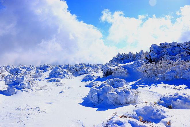 韩国旅游五日游企业团建出境游要办理的手续+费用明细+行前准备(图6)