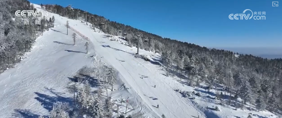 冰雪产业何以“加速跑”?从愿景变现实生活新时尚激活“冰雪+”全链条消费生态(图36)