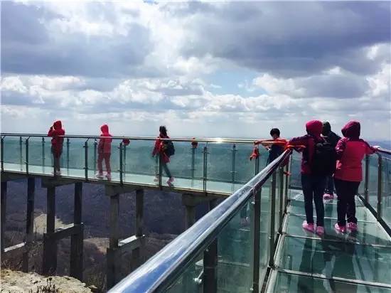 完美体育知道哈尔滨人为什么不爱出国旅游吗？看到答案我震惊了！(图6)