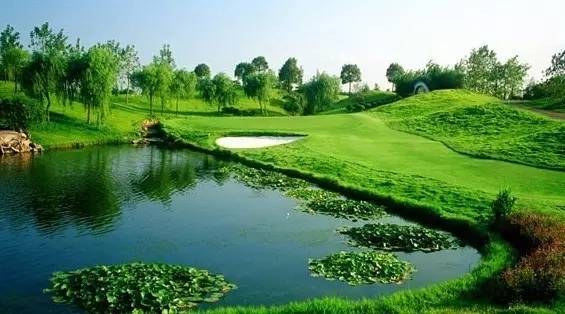 完美体育知道哈尔滨人为什么不爱出国旅游吗？看到答案我震惊了！(图34)