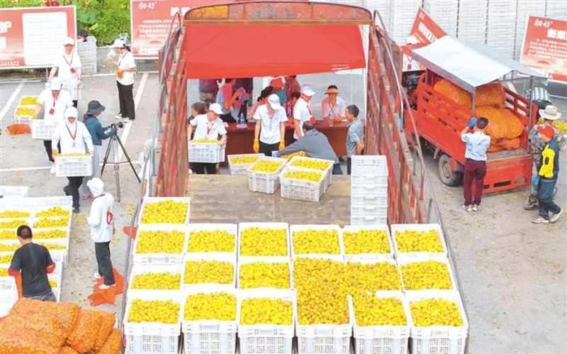 完美体育网站贵州水城：水火相济处拔节生长时(图2)