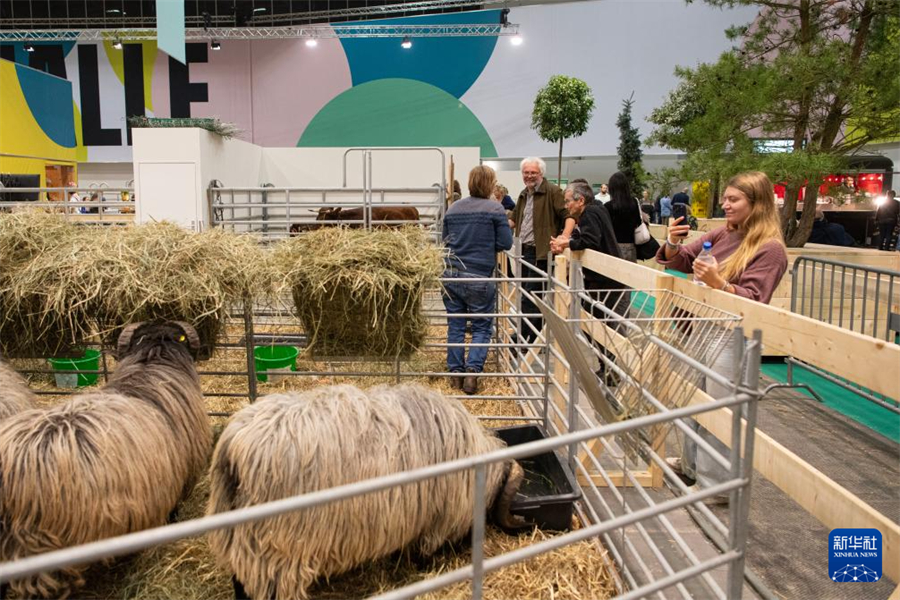 国际--人民网(图32)