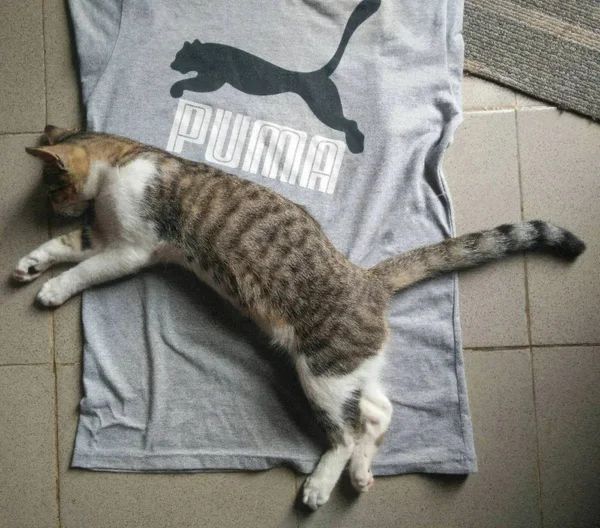 轻松一刻：新手司机害怕远光完美体育网站(图6)