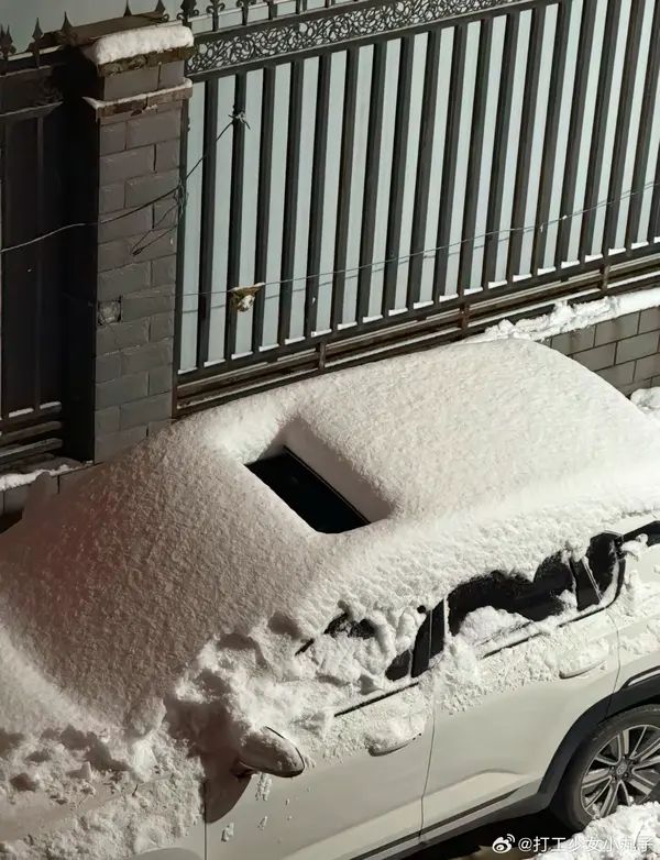 轻松一刻：新手司机害怕远光完美体育网站(图5)