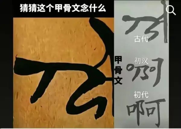 轻松一刻：新手司机害怕远光完美体育网站(图19)