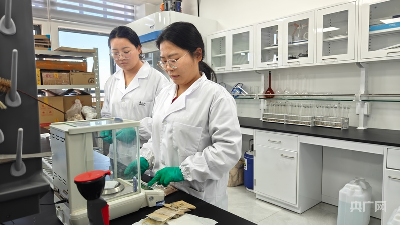 行稳致远开新局丨天山逐雪戈壁耕“云”数字赋能智启“疆”来(图8)