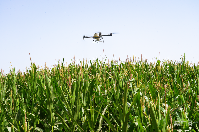 行稳致远开新局丨天山逐雪戈壁耕“云”数字赋能智启“疆”来(图9)