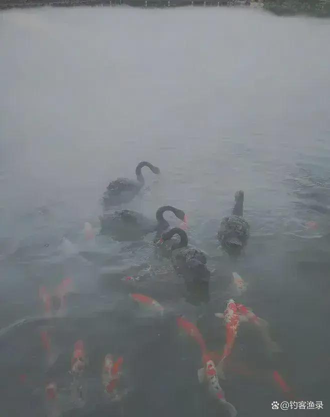 御汤山熙园售楼处-2025首页-御汤山熙园网站-楼盘详情-北京房天下(图4)