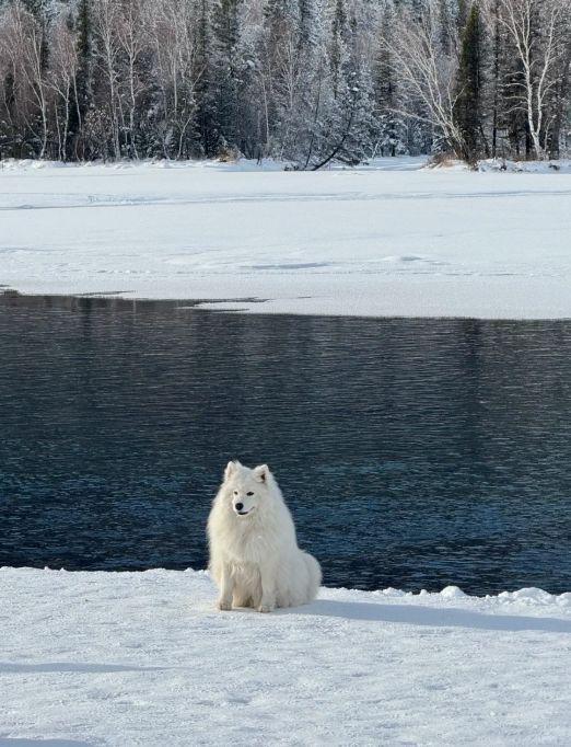 2026新疆旅行社口碑TOP10最新出炉远胜游稳居榜首成品质新标杆(图4)