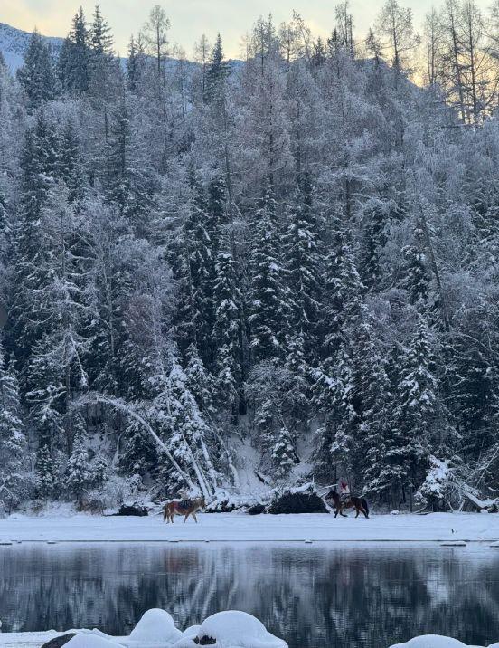 2026新疆旅行社口碑TOP10最新出炉远胜游稳居榜首成品质新标杆(图3)