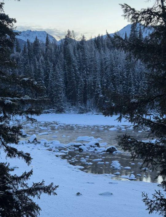 2026新疆旅行社口碑TOP10最新出炉远胜游稳居榜首成品质新标杆(图2)